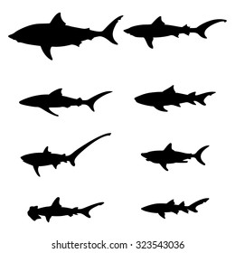 set of silhouettes of sharks on a white background