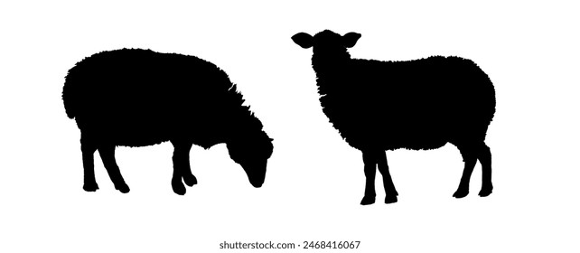 set of silhouettes of sheep	