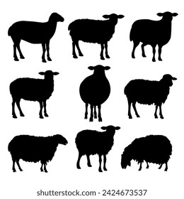 Set of silhouettes of sheep in different poses. Collection of domestic farm animals. Vector illustration isolated on a white background