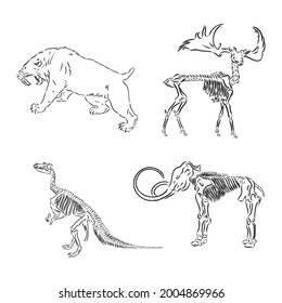 Set of silhouettes of skeletons of dinosaurs and fossils. Hand drawn vector illustration. Silhouettes of man and children, comparison of sizes, realistic size.