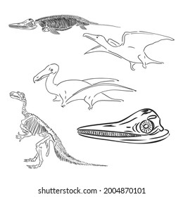 Set of silhouettes of skeletons of dinosaurs and fossils. Hand drawn vector illustration. Silhouettes of man and children, comparison of sizes, realistic size.