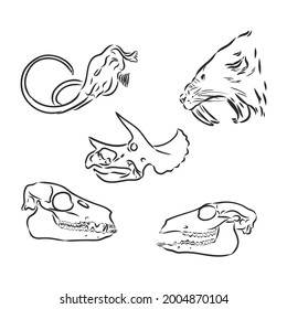 Set of silhouettes of skeletons of dinosaurs and fossils. Hand drawn vector illustration. Silhouettes of man and children, comparison of sizes, realistic size.