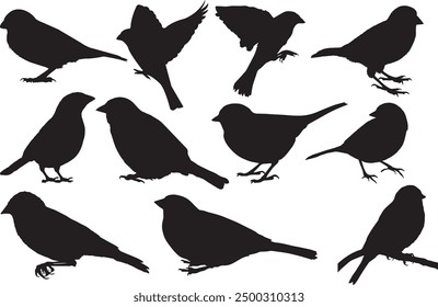 set of silhouettes of sparrows, silhouettes of birds