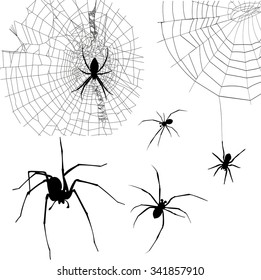 set of silhouettes spiders and spider web