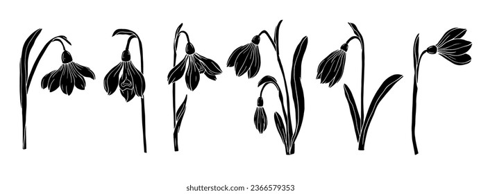 Set of silhouettes of spring snowdrop flowers.Vector graphics.