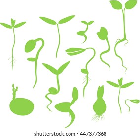set of silhouettes of sprouts