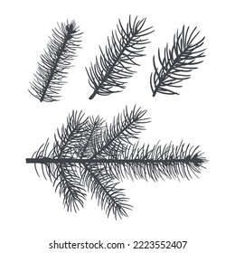 A set of silhouettes of spruce branches elements to create a design for backgrounds, festive wrappers, textiles