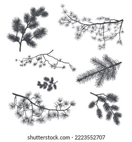 A set of silhouettes of spruce branches and pine elements to create a design for backgrounds, festive wrappers, textiles