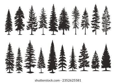 Conjunto de siluetas de árbol de abeto ilustrativo vectorial