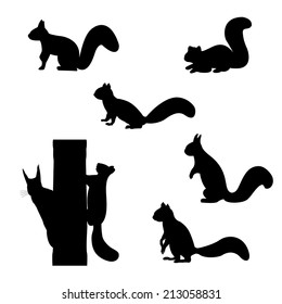 Set of silhouettes of squirrels. Vector illustration.