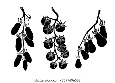 Set of silhouettes, stamps of branches of cherry tomatoes. Vector graphics.