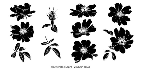 Set of silhouettes, stamps of flowers, buds and leaves of rose hips. Vector graphics.