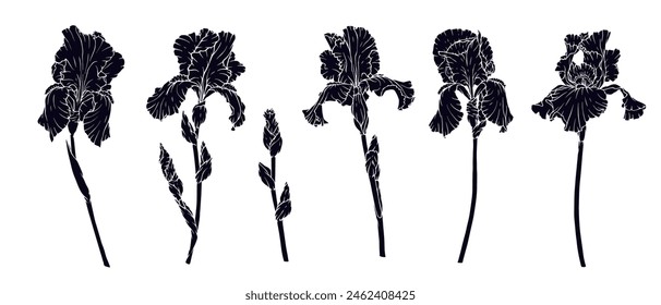 Set of silhouettes, stamps of flowers and iris buds. Vector graphics.