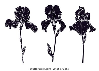 Set of silhouettes, stamps of flowers and iris buds. Vector graphics.