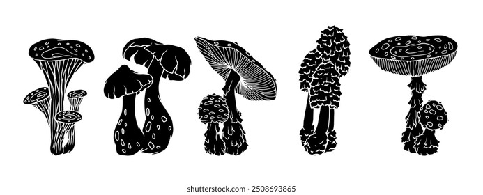 Set of silhouettes, stamps of forest mushrooms-toadstools. Seasonal botanical elements. Vector graphics.