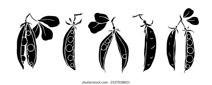 Set of silhouettes, stamps of green pea pods.Vector graphics.