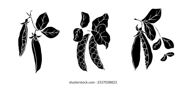 Set of silhouettes, stamps of green pea pods.Vector graphics.