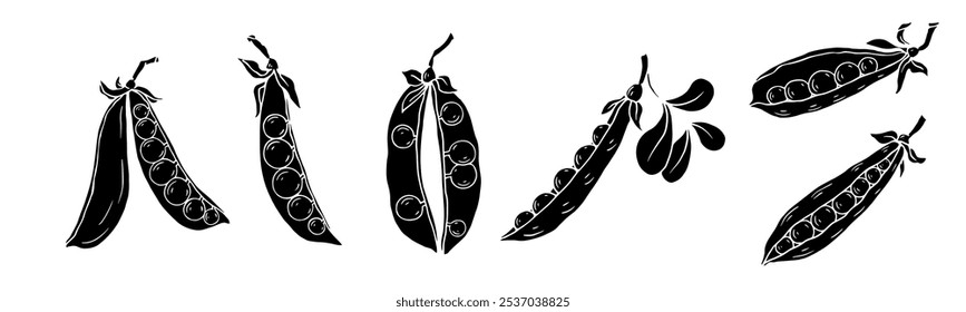 Set of silhouettes, stamps of green pea pods.Vector graphics.