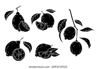 Conjunto de siluetas, sellos de limones y trozos de cítricos. Vector gráfico.