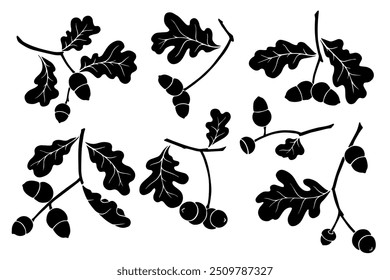 Set of silhouettes, stamps of oak branches and acorns. Decorative botanical elements. Vector graphics.