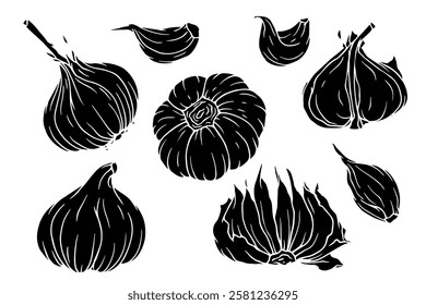 Set of silhouettes, stamps of the root vegetable garlic. Vector graphics.