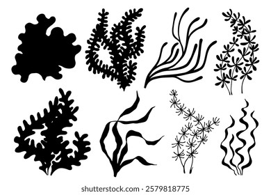 Set of silhouettes, stamps of sea plants, various algae. Vector graphics.