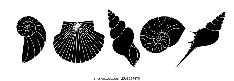 Set of silhouettes, stamps of sea shells. Vector graphics.