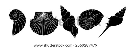 Set of silhouettes, stamps of sea shells. Vector graphics.