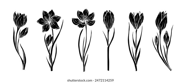 Set of silhouettes, stamps of spring flowers and crocus buds.Vector graphics.