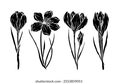 Set of silhouettes, stamps of spring flowers and crocus buds. Vector graphics.