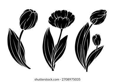 Set of silhouettes and stamps of spring flowers and tulip buds. Seasonal botanical elements. Vector graphics.