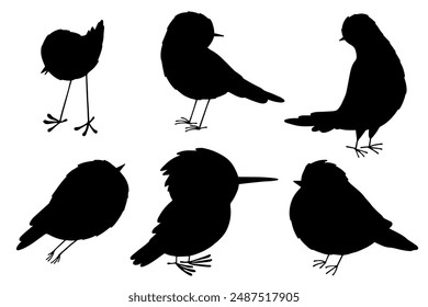 A set of silhouettes and stamps of various small birds. Vector graphics.