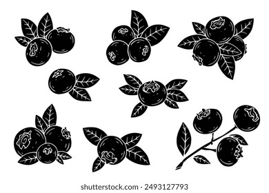 Set of silhouettes and stamps of wild blueberries. Vector graphics.