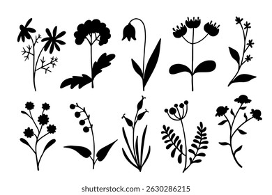 Set of silhouettes, stamps of wild meadow grasses, wildflowers. Vector graphics.
