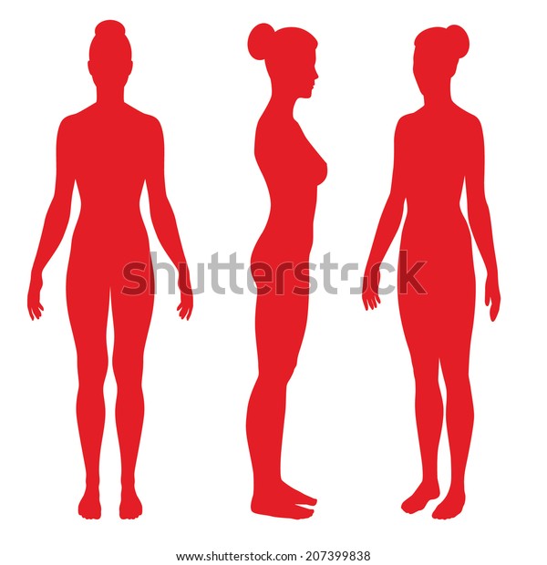 正面と側面に立つ裸の女性のシルエット 白い背景にベクターイラスト のベクター画像素材 ロイヤリティフリー