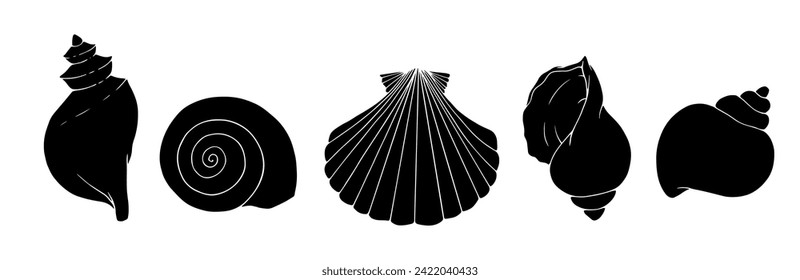 Set of silhouettes and stencils of seashells.Vector graphics.
