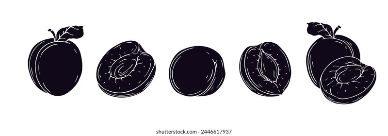 Set of silhouettes, stencils of summer apricot fruits and fruit pieces.Vector graphics.