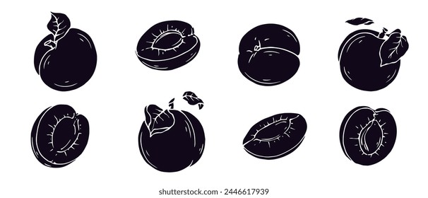 Set of silhouettes, stencils of summer apricot fruits and fruit pieces.Vector graphics.