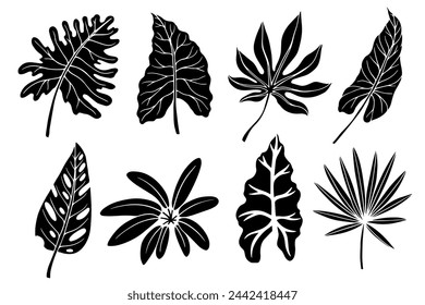 Satz von Silhouetten, Schablonen von verschiedenen tropischen Blättern.Vektor-Grafiken.