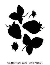 Set of silhouettes of strawberry bush elements: berries, leaves, flowers. Botanical illustration of juicy wholesome berry in cartoon style. Ingredient for delicious desserts and vitamin drinks.