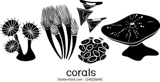Set of silhouettes of stylized soft corals
