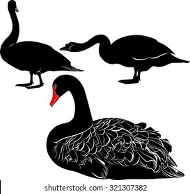 set of silhouettes of swans on white background