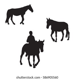 Set of silhouettes of three horses, one horse with rider