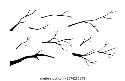 Un conjunto de siluetas de ramas de árbol. Ramas secas, invernales, desnudas, aisladas sobre un fondo blanco, Ilustración vectorial. Un dibujo en blanco y negro de madera de pincel. Elemento gráfico para diseño, decoración
