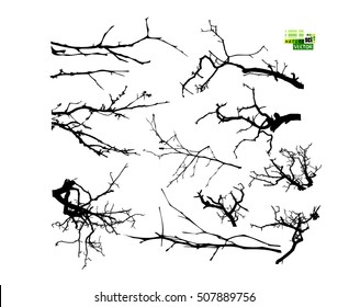 set of silhouettes of tree branches. Vector