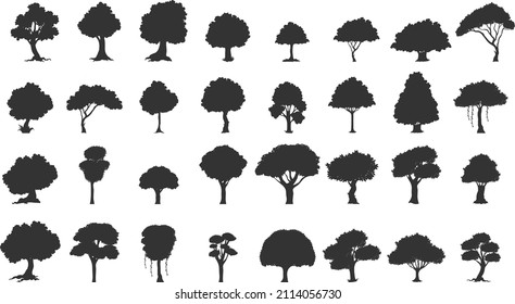 Set of silhouettes tree. Evergreen forest firs and spruces black shapes, wild nature trees templates. Vector illustration woodland trees set on white background