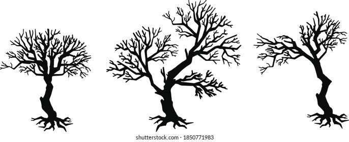 Set Silhouettes Trees Forest Park Stock Vector (royalty Free 