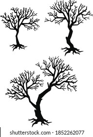 Siluetas de árboles, bosque , parque