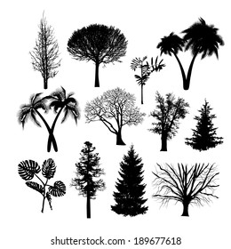set of silhouettes of trees isolated on white background. Vector