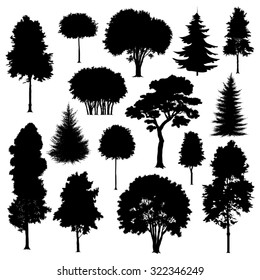 Set of silhouettes of trees isolated on white. Vector illustration